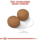 Royal Canin Maxi Adult Büyük Irk Yetişkin Köpek Maması 15 Kg