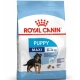 Royal Canin Maxi Puppy Yavru Kuru Köpek Maması 15 Kg