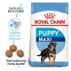Royal Canin Maxi Puppy Yavru Kuru Köpek Maması 15 Kg