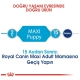 Royal Canin Maxi Puppy Yavru Kuru Köpek Maması 15 Kg