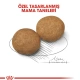 Royal Canin Medium Adult Yetişkin Köpek Maması 15 Kg