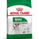 Royal Canin Mini Adult Küçük Irk Köpek Maması 2 Kg