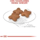 Royal Canin Mini Adult Yetişkin Kuru Köpek Maması 4 Kg