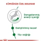 Royal Canin Mini Adult Yetişkin Kuru Köpek Maması 4 Kg