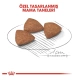 Royal Canin Mini Indoor Küçük Irk Yetişkin Köpek Maması 1,5 Kg