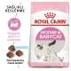 Royal Canin Mother & BabyCat Yavru Kuru Kedi Maması 4 Kg