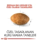 Royal Canin Persian Yetişkin Kedi Maması 2 kg