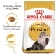 Royal Canin Persian Yetişkin Kedi Maması 2 kg