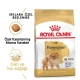 Royal Canin Pomeranian Yetişkin Köpek Maması 1,5 Kg