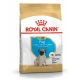 Royal Canin Pug Junior Yavru Köpek Maması 1,5 Kg