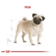 Royal Canin Pug Köpek Maması 1,5 Kg