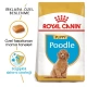 Royal Canin Puppy Poodle Caniche Yavru Köpek Maması 3 Kg