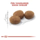 Royal Canin Sterilised 37 Kısırlaştırılmış Kedi Maması 2 Kg