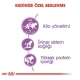 Royal Canin Sterilised 37 Kısırlaştırılmış Kedi Maması 2 Kg