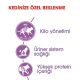 Royal Canin Sterilised 37 Kısırlaştırılmış Kedi Maması 4 Kg