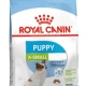 Royal Canin X-Small Küçük Irk Yavru Köpek Maması 3 kg
