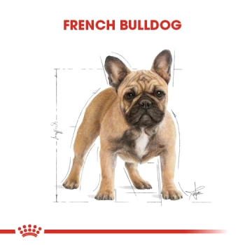 Royal Canin French Bulldog Yetişkin Köpek Maması 3 Kg