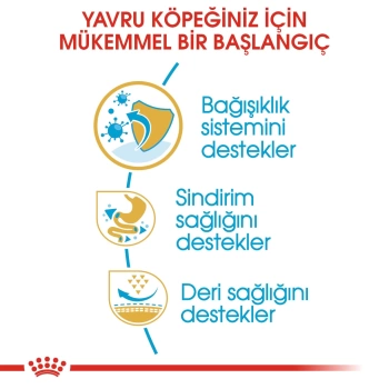 Royal Canin French Bulldog Junior Yavru Köpek Maması 3kg
