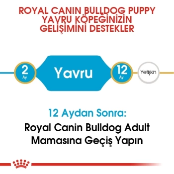 Royal Canin French Bulldog Junior Yavru Köpek Maması 3kg