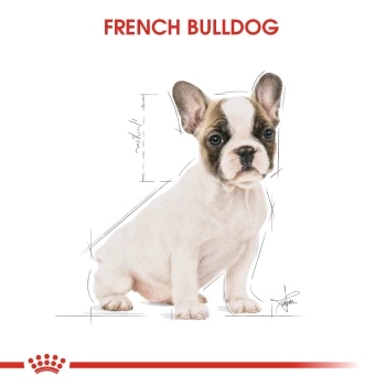 Royal Canin French Bulldog Junior Yavru Köpek Maması 3kg