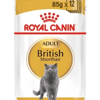Royal Canin British Shorthair Yetişkin Kedi Konservesi 85 Gr 12 Li