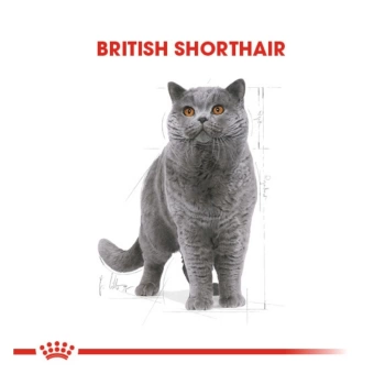 Royal Canin British Shorthair Yetişkin Kedi Maması 2kg