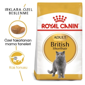 Royal Canin British Shorthair Yetişkin Kedi Maması 2kg
