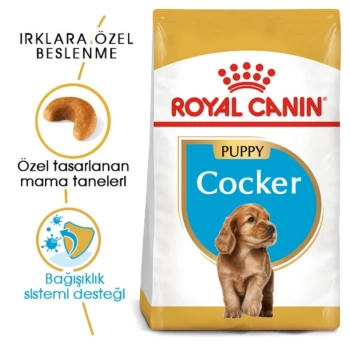 Royal Canin Cocker Junior Yavru Köpek Maması 3 Kg
