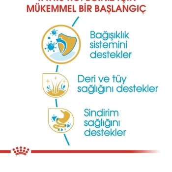 Royal Canin Cocker Junior Yavru Köpek Maması 3 Kg