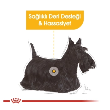Royal Canin Dermacomfort Yetişkin Köpek Maması  85 Gr x 12 Li