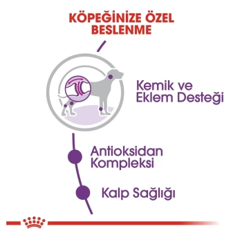 Royal Canin Giant Adult Yetişkin Kuru Köpek Maması 15 Kg