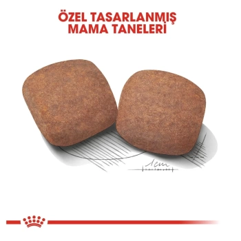 Royal Canin Giant Adult Yetişkin Kuru Köpek Maması 15 Kg