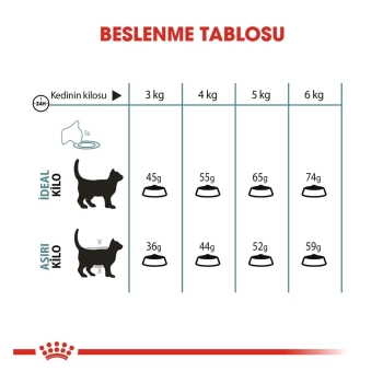 Royal Canin Hairball Tüy Yumağı Önleyici Yetişkin Kedi Maması 2 Kg