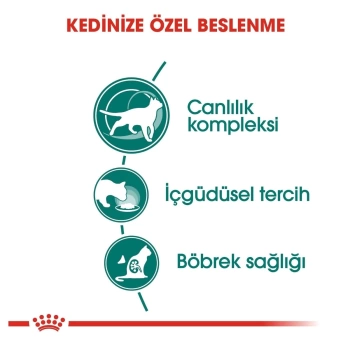 Royal Canin İnstictive +7 Yaşlı Kedi Maması 85 Gr x 12 Li