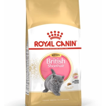 Royal Canin Kitten British Shorthair Yavru Kedi Maması 2 Kg