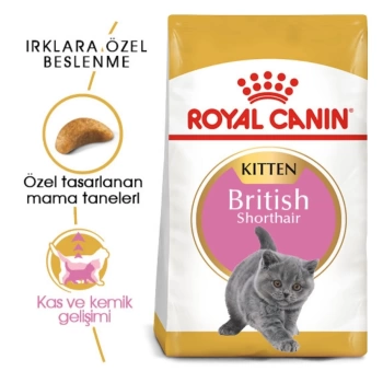 Royal Canin Kitten British Shorthair Yavru Kedi Maması 2 Kg