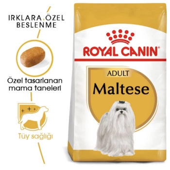 Royal Canin Maltese Yetişkin Köpek Maması 1.5 Kg