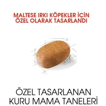 Royal Canin Maltese Yetişkin Köpek Maması 1.5 Kg