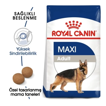 Royal Canin Maxi Adult Büyük Irk Yetişkin Köpek Maması 15 Kg