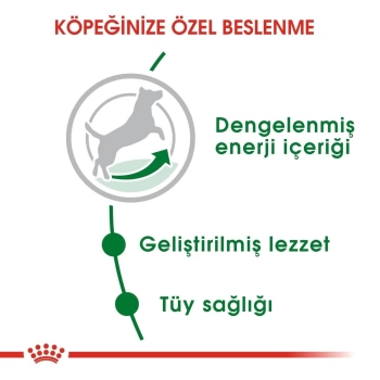 Royal Canin Mini Adult Küçük Irk Köpek Maması 2 Kg