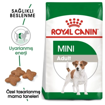Royal Canin Mini Adult Yetişkin Kuru Köpek Maması 4 Kg