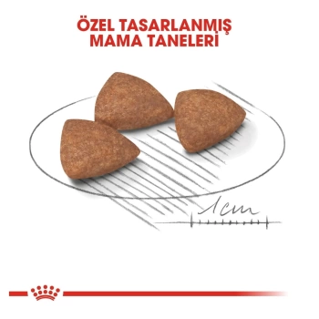 Royal Canin Mini Indoor Küçük Irk Yetişkin Köpek Maması 1,5 Kg