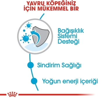 Royal Canin Mini Puppy Yavru Kuru Köpek Maması 4 Kg