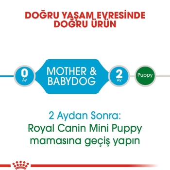 Royal Canin Mini Starter Küçük Irk Anne ve Yavru Köpek Maması 4 Kg