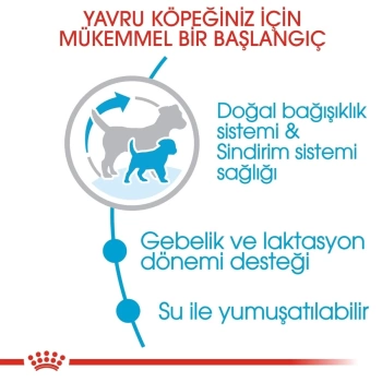 Royal Canin Mini Starter Küçük Irk Anne ve Yavru Köpek Maması 4 Kg
