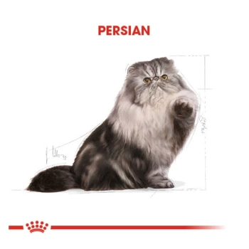 Royal Canin Persian Yetişkin Ezme Kedi Maması 85 Gr x 12 Li