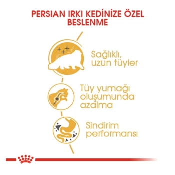 Royal Canin Persian Yetişkin Ezme Kedi Maması 85 Gr x 12 Li
