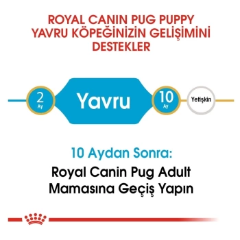 Royal Canin Pug Junior Yavru Köpek Maması 1,5 Kg