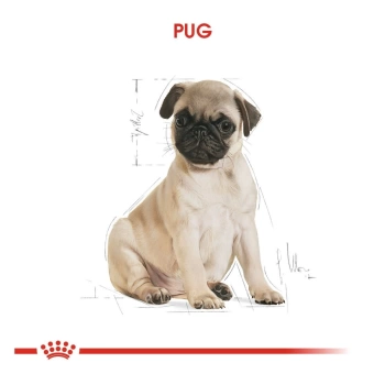Royal Canin Pug Junior Yavru Köpek Maması 1,5 Kg