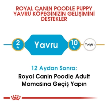 Royal Canin Puppy Poodle Caniche Yavru Köpek Maması 3 Kg